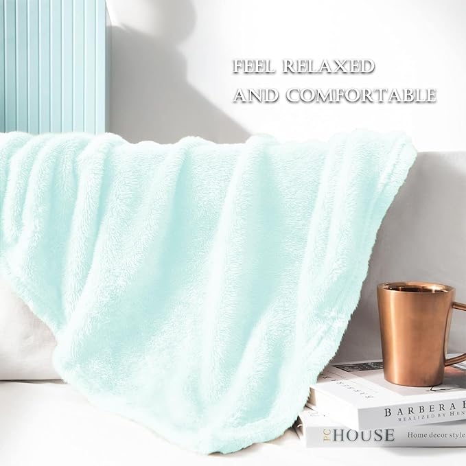 Exclusivo Mezcla Plush Fuzzy Fleece Throw Blanket Extra Large, Super Soft, Fluffy and Warm Blankets for Couch, Bed, Suitable for All Seasons (50x70 Inches, Mint Green)