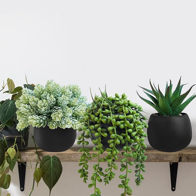 Winlyn Set of 3 Artificial Succulent Plants in Black Concrete Pots Faux Aloe Hops String of Pearls Potted Plants Small Fake Plants Desk Plants for Home Office Desk Kitchen Bathroom Shelf Windowsill