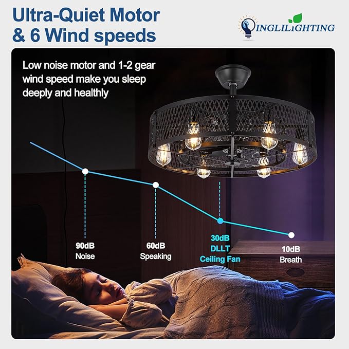 DLLT Caged Ceiling Fan with Lights: 26" Bladeless Fandelier with Light and Remote - Black Industrial Chandelier Fan Light for Bedroon Living Dining Room Kitchen