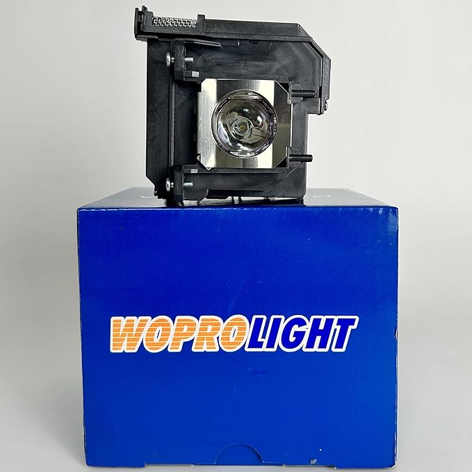Premium Quality V13H010L91 Compatible Lamp with Housing for Epson elplp 91 BrightLink 695Wi /BrightLink 685Wi /PowerLite 680 685W 685Wi, EB-695Wi EB-685W EB-685Wi EB-685WS EB-680Wi EB-680