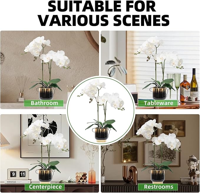 CXGS Orchids Artificial Flowers Real Touch Fake Flowers in Ceramic Pot 20" White Faux Orchid Plant Lifelike Silk Phalaenopsis for Centerpiece Hotel Home Indoor Decor