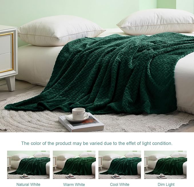 Exclusivo Mezcla Fleece Queen Size Blanket for Bed, 90x90 Inches Soft Cozy Jacquard Flannel Blankets, Lightweight Fuzzy Plush Warm for Winter, Forest Green