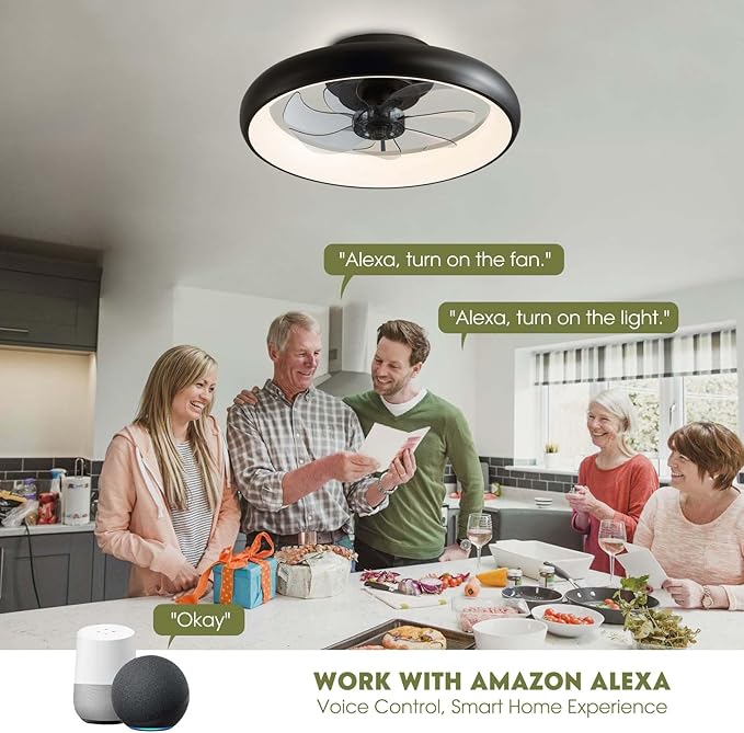 Modern Black 20" Flush Mount Ceiling Fan with Lights, 6 Wind Speeds, LED, Bedroom, Kitchen