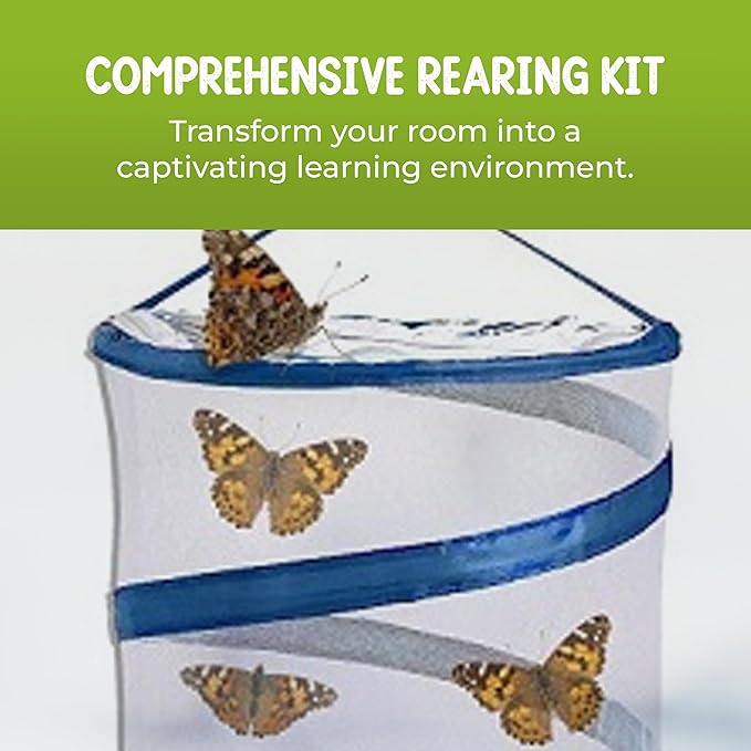 Nature Gifts Live Butterfly Kit - School-Sized Educational Experience with 32 Painted Lady Caterpillars - Pop-Up Cage, and Comprehensive Rearing Supplies for Classroom Engagement, 32 Small Cups