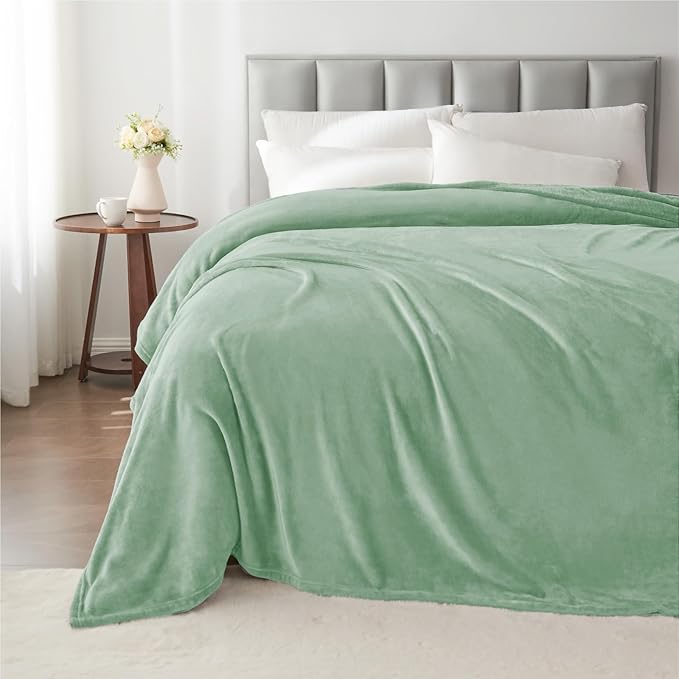 BEDELITE Fleece Blankets Queen Size Mint Green Throw Blankets for Bed, Luxury Plush Cozy Fuzzy Blanket 90x90 inches, Super Soft Warm Lightweight Throw Blanket All Seasons Suitable