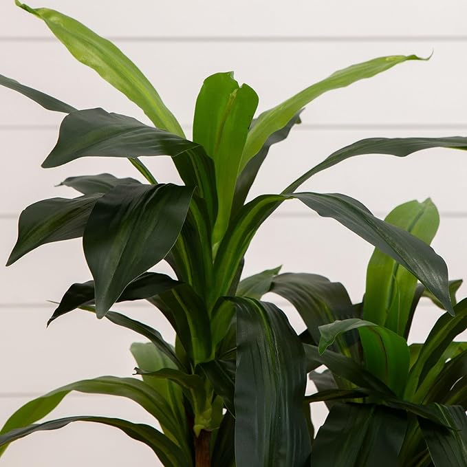 Nearly Natural 48in. Dracaena Artificial Plant with Green Real Touch Leaves - Lifelike Indoor Décor