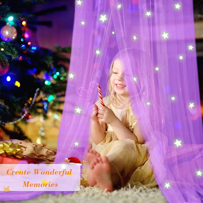 South to East Princess Bed Canopy With Glowing Stars for Girls Room, Purple Curtains From Ceiling for Twin and Full Size Beds, Ideal Gift