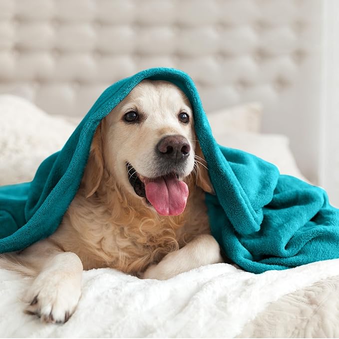 BEDELITE Throw Blanket for Couch and Bed - 300GSM Luxury Plush Cozy Fleece Blanket 50x60 Inches Bluebird, Soft Lightweight Blanket for Travel Camping