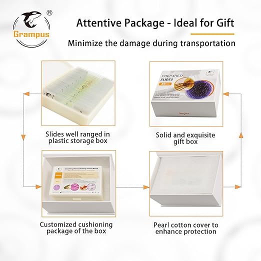 30 Prepared Microscope Slides with Specimens for Kids Students-Animal and Plant Microscope Slide Sets - Random Delivery (Either One Set) for Biological Lab, Children's Science Education, Homeschooling