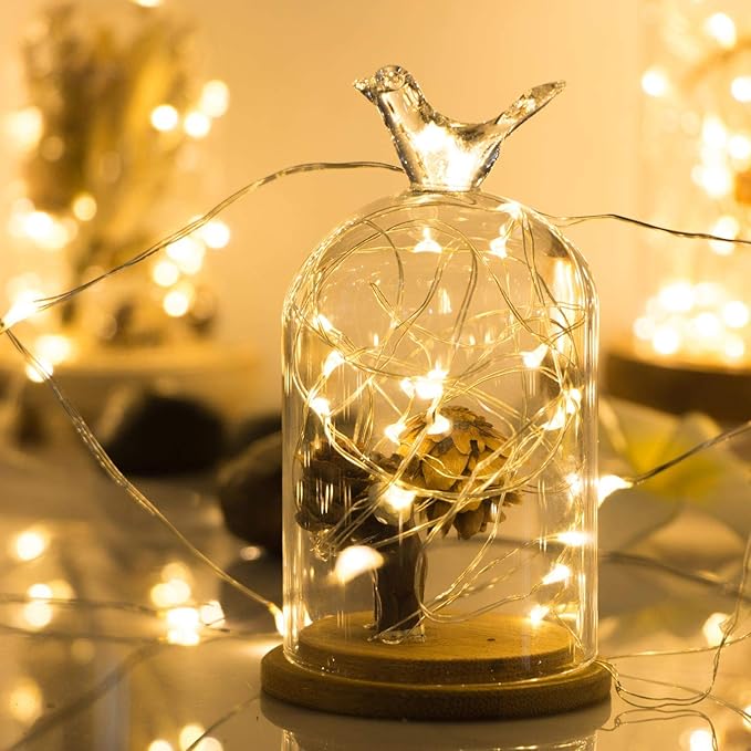 ANJAYLIA Fairy Lights, 10ft 30 LED Mini String Lights Battery Operated Firefly Starry Lights for Wedding, Bedroom, Party, Christmas, Warm White 2 Pack