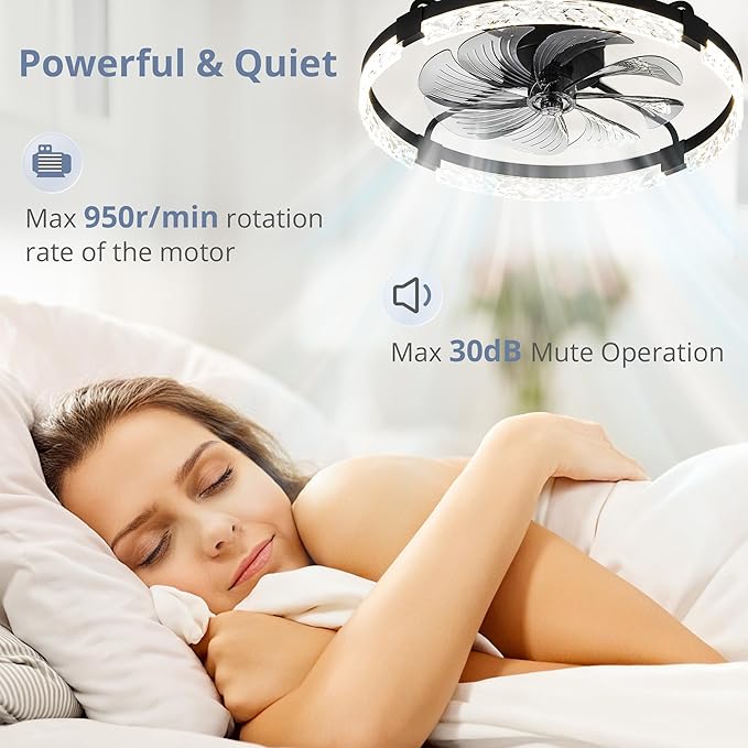 LEDIARY 2 Pack 24 Inch Modern Ceiling Fans with Lights and Remote, Dimmable Flush Mount Ceiling Fan, Black Low Profile Ceiling Fan with 3 CCT and 6 Speeds