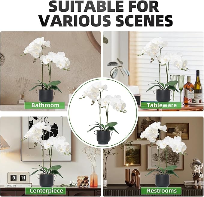 CXGS Orchids Artificial Flowers Real Touch Fake Flowers in Ceramic Pot 20" White Faux Orchid Plant Lifelike Silk Phalaenopsis for Centerpiece Hotel Home Indoor Decor