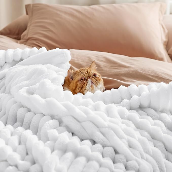 Bedsure GentleSoft Queen Blanket for Couch - Cozy Soft Blankets for Women, Cute Small Fleece Throws for Girls, White, 90x90 Inches