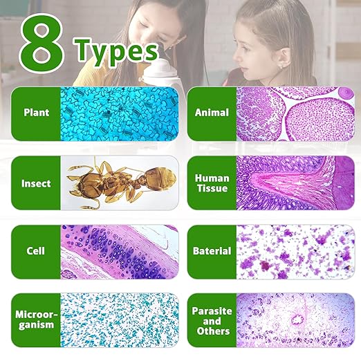 60 Microscope Slides with Specimens,Prepared Microscope Slides for Kids,Glass Slides for Microscope,Prepared Slides for Kids Microscope,Microscope Slide Preparation Kit for Biology Science Classes