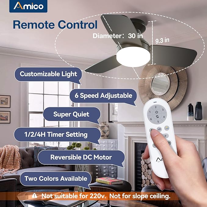Amico Ceiling Fans with Lights, 30 inch Low Profile Ceiling fan with Light and Remote Control, Flush Mount, Reversible, 3CCT, Dimmable, Noiseless, Black Ceiling Fan for Bedroom, Indoor/Outdoor Use