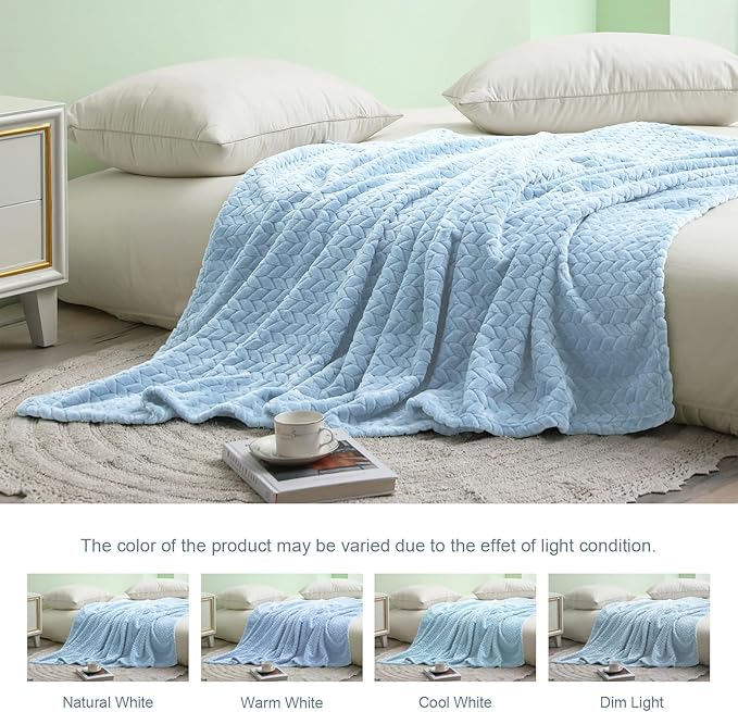 Exclusivo Mezcla Fleece Queen Size Blanket for Bed, 90x90 Inches Soft Cozy Jacquard Flannel Blankets, Lightweight Fuzzy Plush Warm for Winter, Light Blue