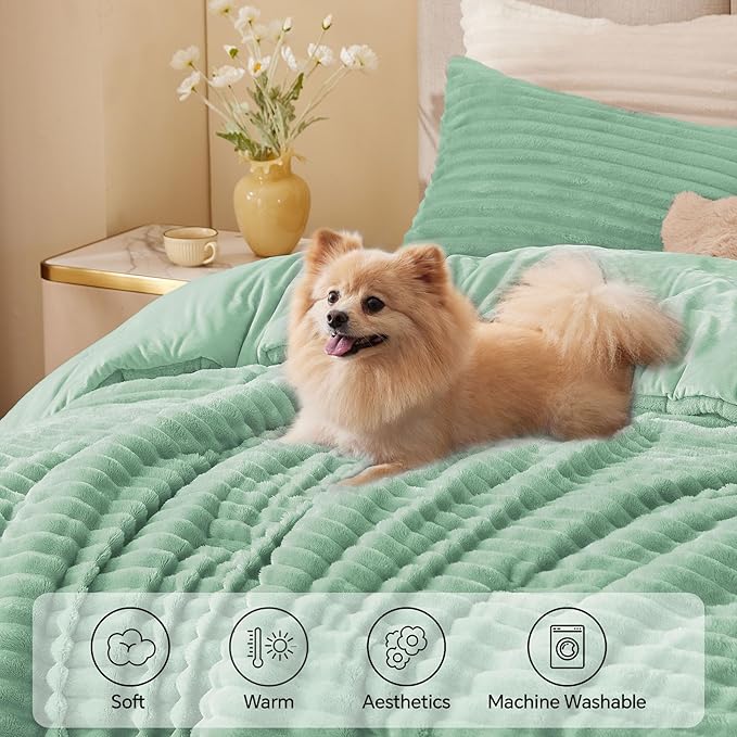 BEDELITE Fleece Twin Comforter Set -Super Soft & Warm Fluffy Light Green Bedding, Luxury Fuzzy Heavy Bed Set for Winter with 1 Pillow case