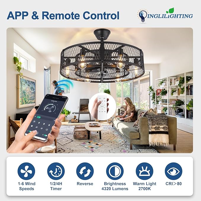 DLLT Caged Ceiling Fan with Lights: 26" Bladeless Fandelier with Light and Remote - Black Industrial Chandelier Fan Light for Bedroon Living Dining Room Kitchen