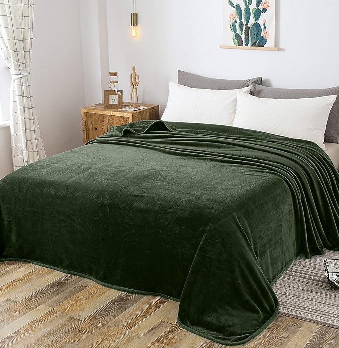 Fleece Blanket Queen Size 350GSM Lightweight Throw for The Bed Extra Soft Brush Fabric Super Warm Sofa Blanket 90" x 90"(Green Queen)