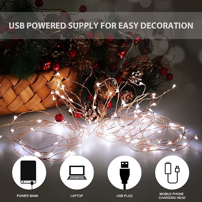 USB LED Fairy String Light, 1 Pack Copper Wire Fairy Lights for Indoor, Bedroom Festival Christmas Wedding Party Patio Decorative Window with USB Interface (33ft./10M,Cool White)