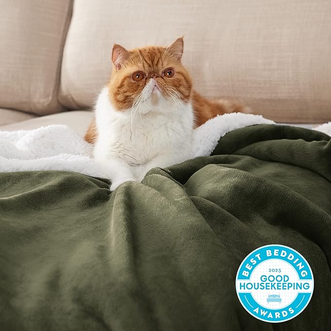 Bedsure GentleSoft Sherpa Fleece Throw Blanket for Couch - Thick and Warm, Soft Fuzzy Plush Throw Blanket for Winter, Olive Green, 50x60 Inches