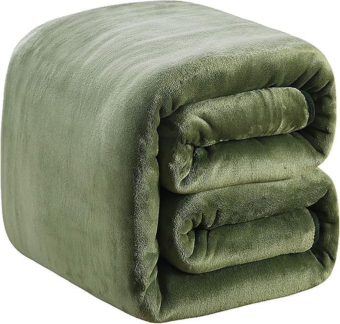 Fleece Blanket Twin Size 350GSM Lightweight Throw for The Bed Extra Soft Brush Fabric Super Warm Sofa Blanket 66" x 90"(Green Twin)