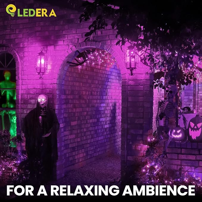 LED Purple Light Bulb, 40W Equivalent LED A15 Bulb, E26 Medium Base Bulb for Halloween, Christmas, Party, Bar, Holiday Lighting, Non-Dimmable, 2 Packs