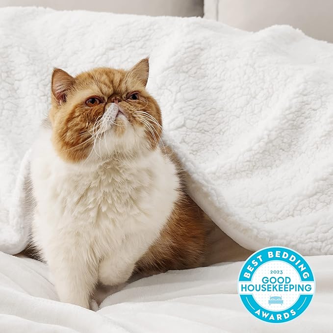 Bedsure GentleSoft Sherpa Fleece Throw Blanket Twin Size for Couch - Thick and Warm Throw for Women and Men, Soft Fuzzy Plush Twin Blanket for Winter, White, 60x80 Inches
