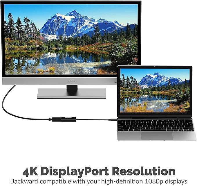 SABRENT USB 3.1 Type-C to DisplayPort Adapter (DA-DPUC)