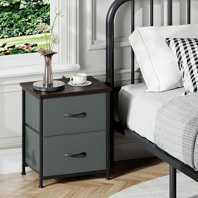 Somdot Nightstand, Small Dresser for Bedroom with 2 Drawers, Bedside Table Night Stand End Table with Fabric Bins for Bedroom Kids Closet Dorm Guest Room, Charcoal Grey