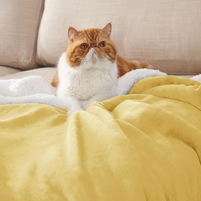 Bedsure GentleSoft Sherpa Fleece Throw Blanket Twin Size for Couch - Thick and Warm Throw for Women and Men, Soft Fuzzy Plush Twin Blanket for Winter, Yellow, 60x80 Inches