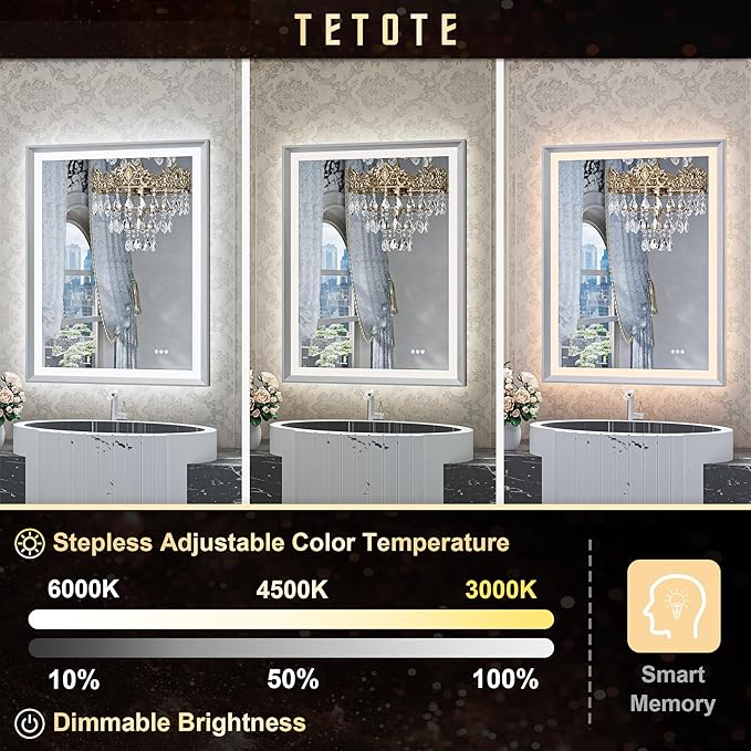 TETOTE LED Bathroom Mirror with Lights Brushed Nickel Metal Framed 40x24 Frontlit & Backlit Silver Vanity Mirror Baroque Antifog Stepless Dimmable White/Warm/Natural,Wall Mounted(Horizontal/Vertical)