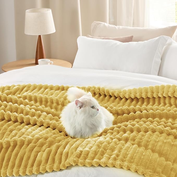 Bedsure GentleSoft Honey Fleece Blanket for Couch - Cozy Soft Blankets for Women, Cute Small Throws for Girls, 60x80 Inches