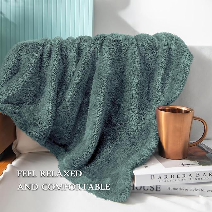 Exclusivo Mezcla Plush Fuzzy Fleece Bed Blanket Twin Size, Super Soft, Fluffy and Warm Blankets, Suitable for All Seasons (Celadon, 90x66 Inches)