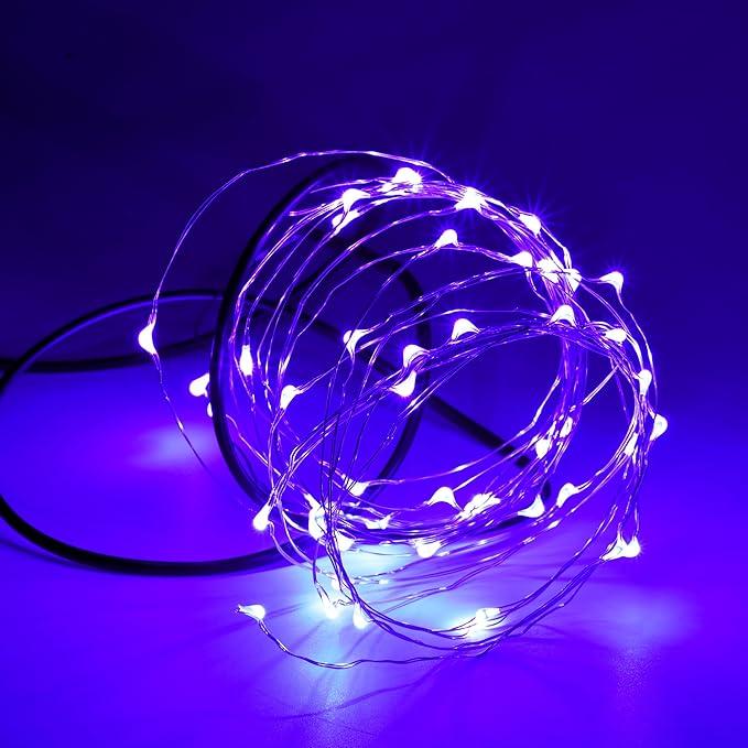 Karlling USB Plug in LED Fairy Lights,50 LED Bulbs 16 Ft Silver Wire Starry String Lights for Bedroom Patio Garden Party Wedding Commercial Lighting (Purple)