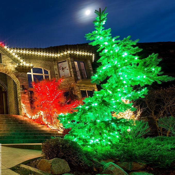 70 Green LED Christmas Lights, 24 ft Green Wire Indoor/Outdoor Mini String, Commercial Grade Tree & Holiday Lighting, 5mm — Halloween & St. Patrick’s Day