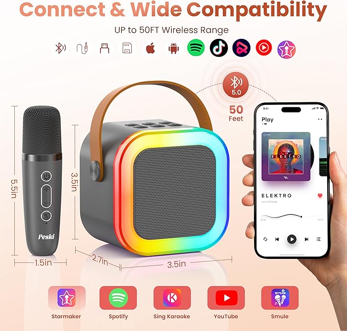 Mini Karaoke Machine for Kids Adults, Portable Karaoke Microphone Singing Speaker Bluetooth Karaoke Player with 2 Wireless Mic, Birthday Gifts for Girls Boys 4-12 Year Old, Family Home Party(Grey)