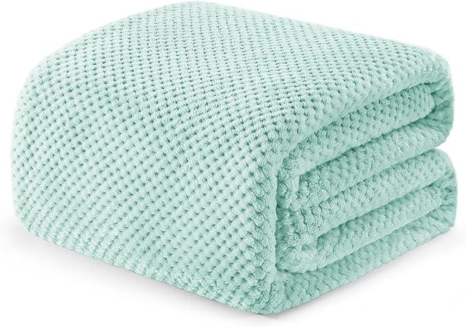 Exclusivo Mezcla Fleece Bed Blanket Twin Size, Super Soft and Warm Blankets for Couch, Sofa and Bed Waffle Textured, Cozy, Fuzzy and Lightweight (Mint Green, 60x80 inches)