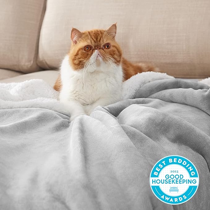 Bedsure GentleSoft Sherpa Fleece Throw Blanket Twin Size for Couch - Thick and Warm Throw for Women and Men, Soft Fuzzy Plush Twin Blanket for Winter, Light Grey, 60x80 Inches