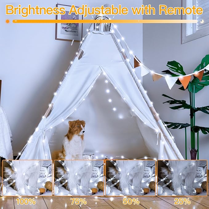 Ollny 100 LED Remote Control Rope Lights, 33FT USB Power Cool White String Lights, 8 Modes IP68 Waterproof Timer Fairy Lights for Bedroom Indoor Party Wedding Decor