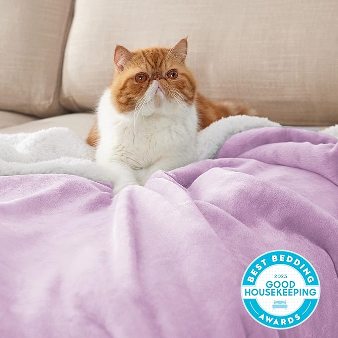 Bedsure GentleSoft Sherpa Fleece Blankets Queen Size for Bed - Thick and Warm Throw for Girls and Women, Soft Fuzzy Plush Queen Blanket for Winter, Lilac, 90x90 Inches