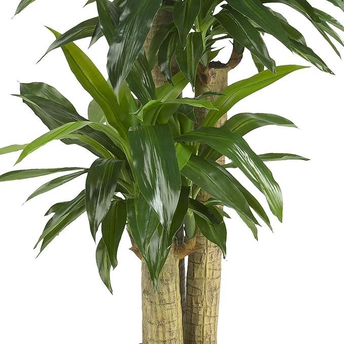 Nearly Natural 62IN Artificial Corn Stalk Dracaena Plant, Tall Fake Plant for Indoor Home Décor, Real Touch Faux Plant