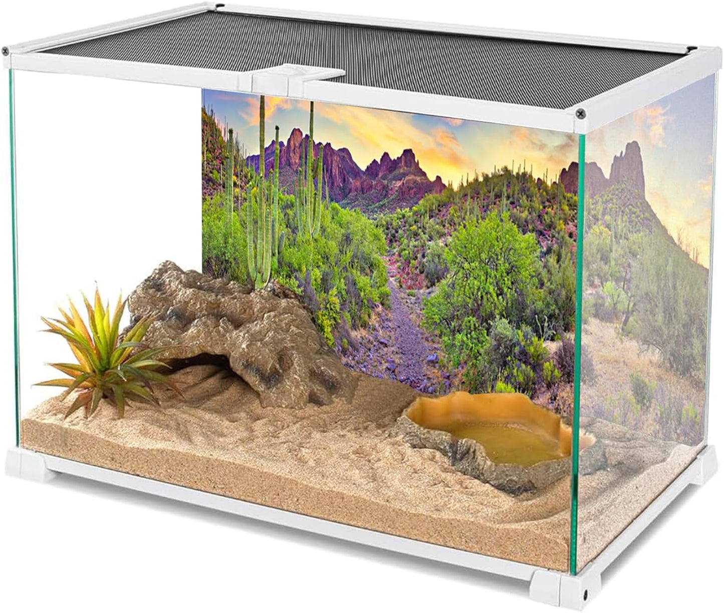 YongFoto Polyester Desert View Cactus Photo Backdrop: 72x18 inches Natural Landscape Photography Background for Reptile