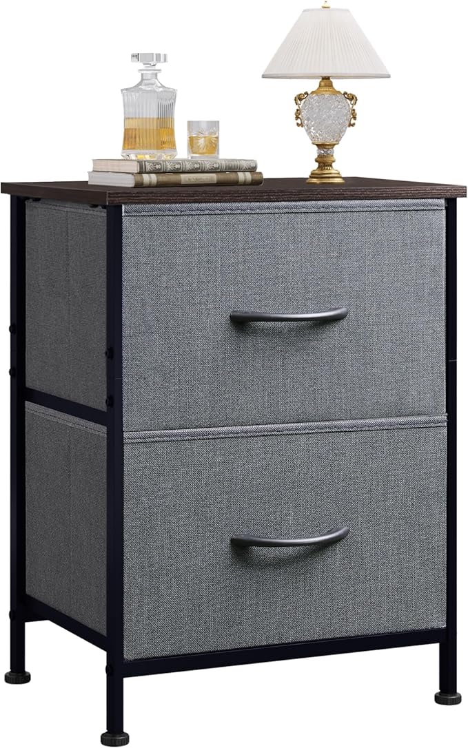 WLIVE Nightstand, 2 Drawer Dresser for Bedroom, Small Dresser with 2 Drawers, Bedside Furniture, Night Stand, End Table with Fabric Bins for Bedroom, Closet, Entryway, College Dorm, Dark Grey