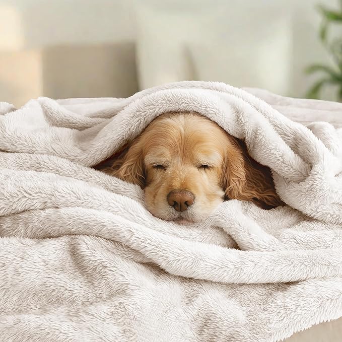 Exclusivo Mezcla Plush Fuzzy Fleece Bed Blanket Queen Size, Super Soft, Fluffy and Warm Blankets Suitable for All Seasons (Beige, 90x90 Inches)