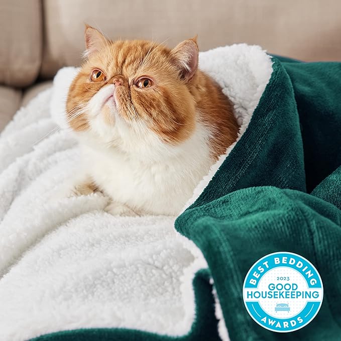 Bedsure GentleSoft Sherpa Fleece Throw Blanket for Couch - Thick and Warm Throw for Women and Men, Soft Fuzzy Plush Christmas Blanket for Winter, Forest Green, 50x60 Inches