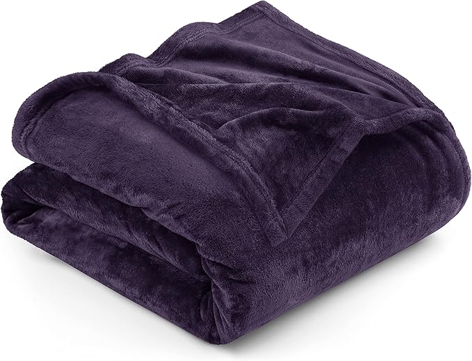 Utopia Bedding Fleece Blanket Twin Size Purple 300GSM Luxury Anti-Static Fuzzy Soft Microfiber Bed Blanket (60x80 Inch)