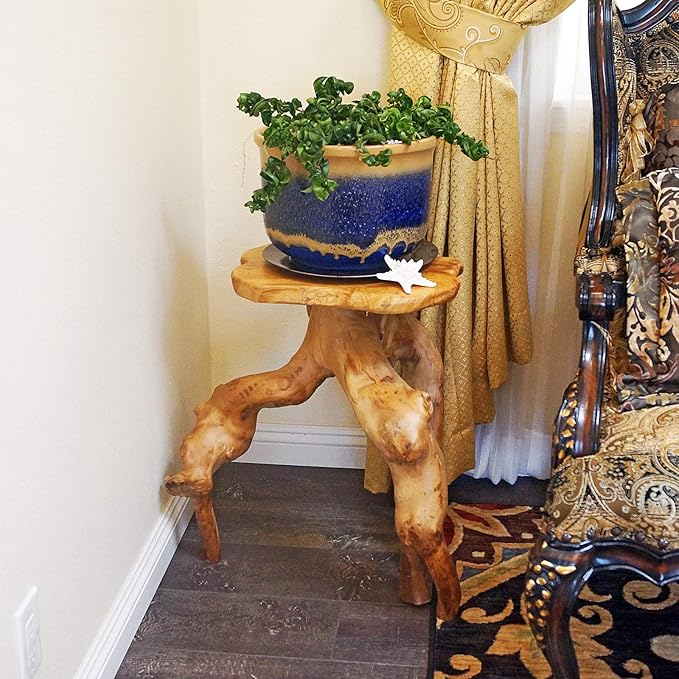 WELLAND Natural Tree Stump Stool, 19'' Tall Side Table, Live Edge Stool, Natural Edge End Table, Accent Table, Plant Stand for Living Room, Bedroom,