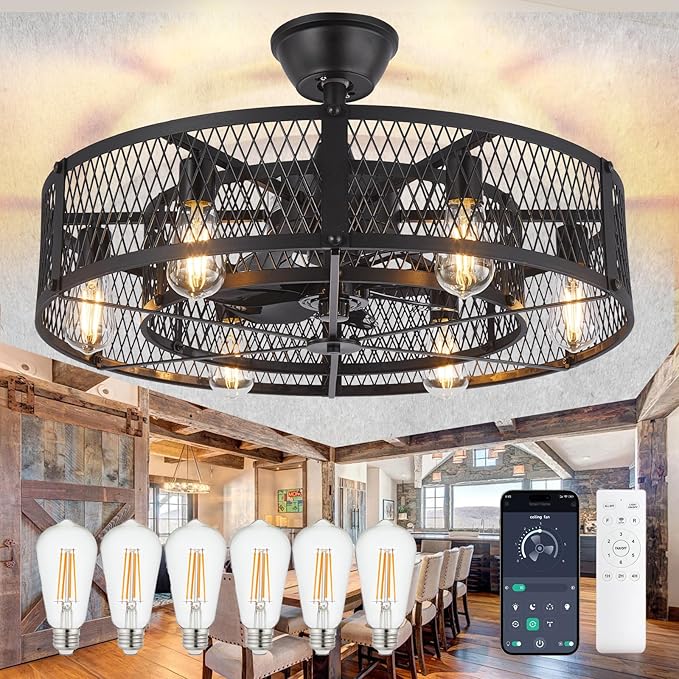 DLLT Caged Ceiling Fan with Lights: 26" Bladeless Fandelier with Light and Remote - Black Industrial Chandelier Fan Light for Bedroon Living Dining Room Kitchen