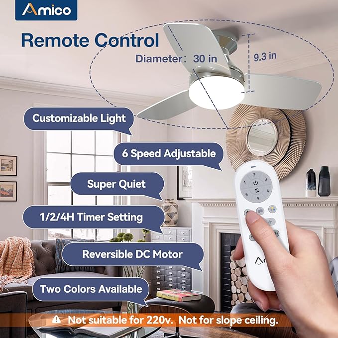 Amico Ceiling Fans with Lights, 30 inch Low Profile Ceiling Fan with Light and Remote Control, Flush Mount, Reversible, 3CCT, Dimmable, Noiseless, Nickel Ceiling Fan for Bedroom, Indoor/Outdoor Use